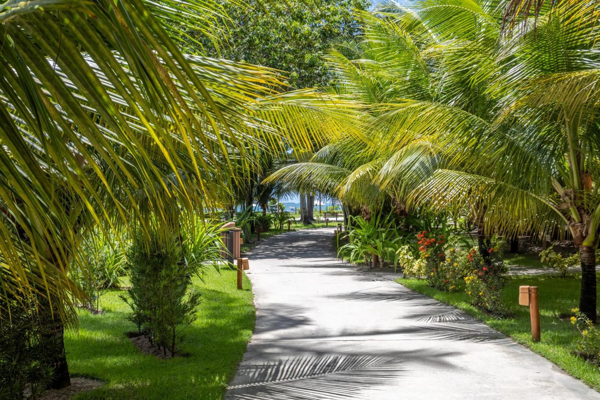 Tamandaré Vista Linda Eco Resort Carneiros מראה חיצוני תמונה